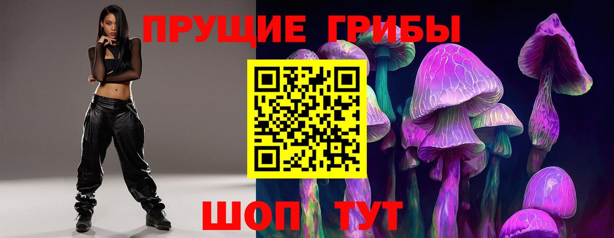 Галлюциногенные грибы Psilocybe  Вход с VPN  Новочебоксарск 